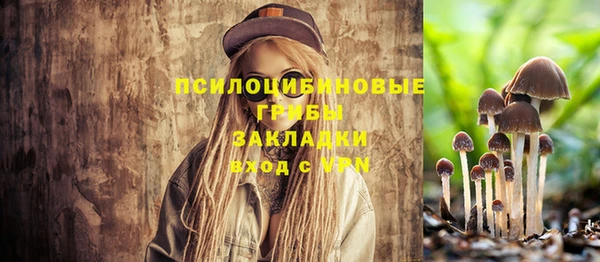 бошки Балахна