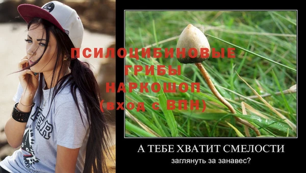 бошки Балахна