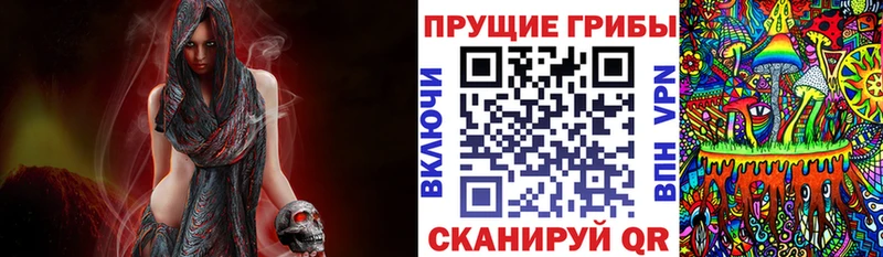 Галлюциногенные грибы Magic Shrooms  как найти   Калининец 